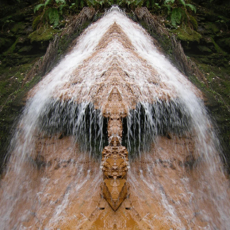 Nature's Mirror Image