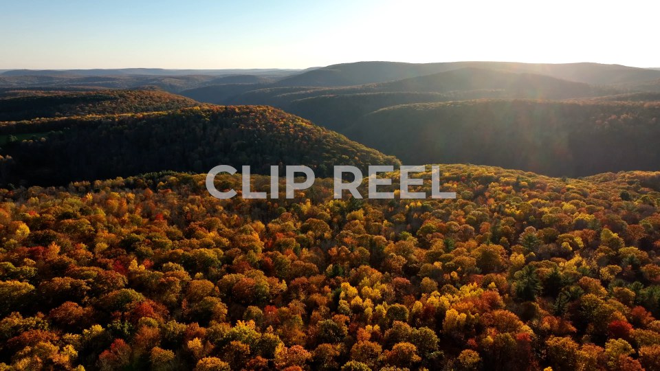 Pennsylvania Grand Canyon, Pine Creek