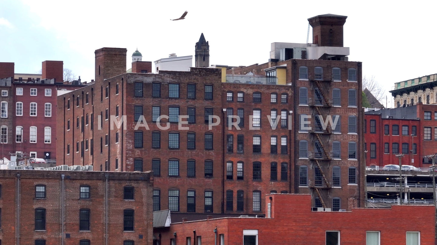 stock photo Lynchburg, VA Steve Tanner Stock