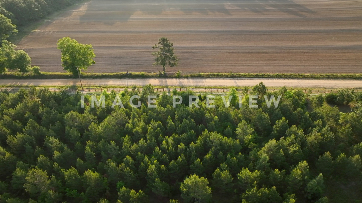 stock photo country road