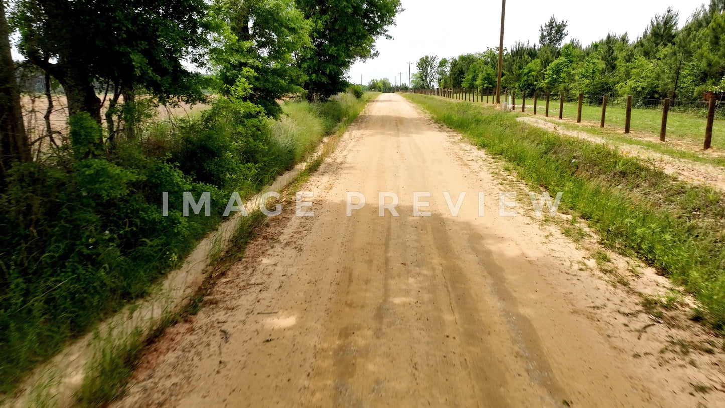 stock photo country road in south