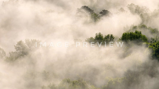 stock photo morning fog over tennessee mountains