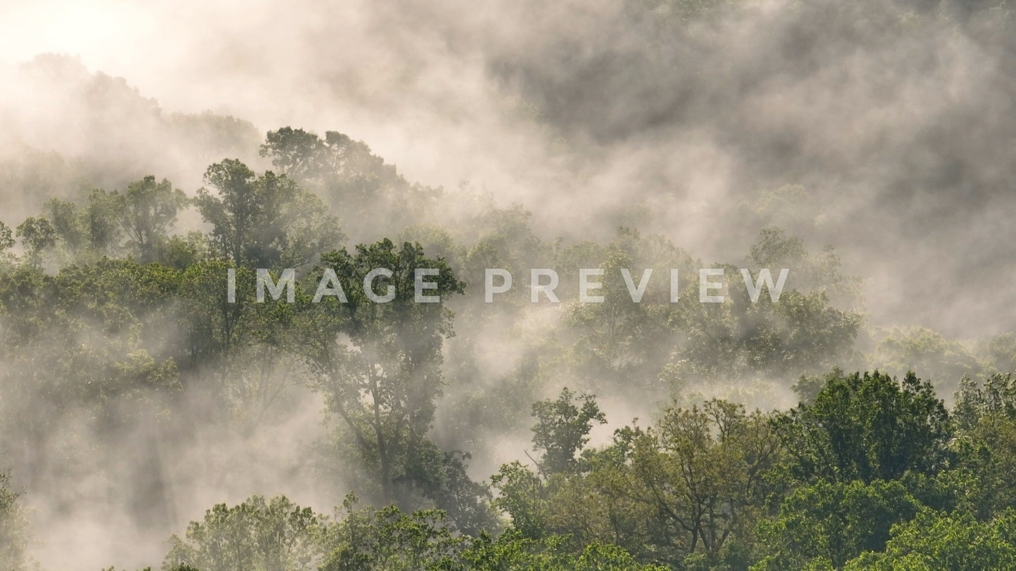 stock photo morning fog over tennessee mountains