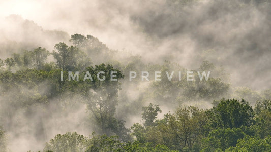 stock photo morning fog over tennessee mountains