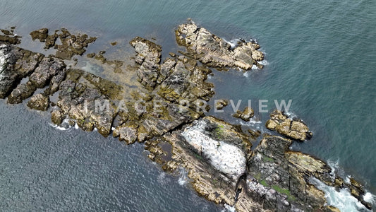 Stock photo rocky island boston ma