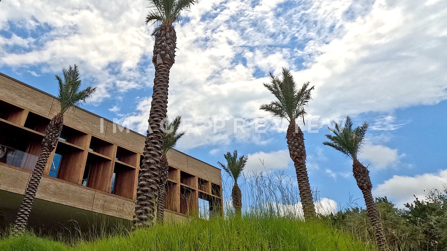 stock photo IAAM international african american museum