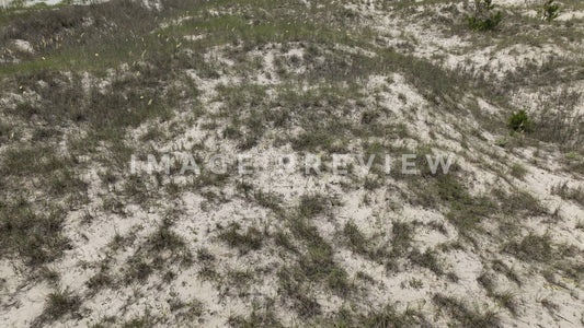 stock photo cherry grove beach steve tanner stock