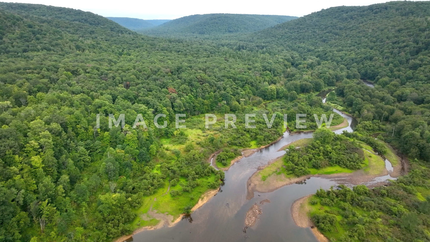 Stock photo Allegheny National Forest