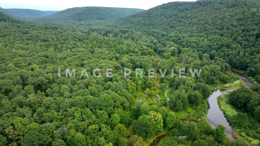 Stock photo Allegheny National Forest