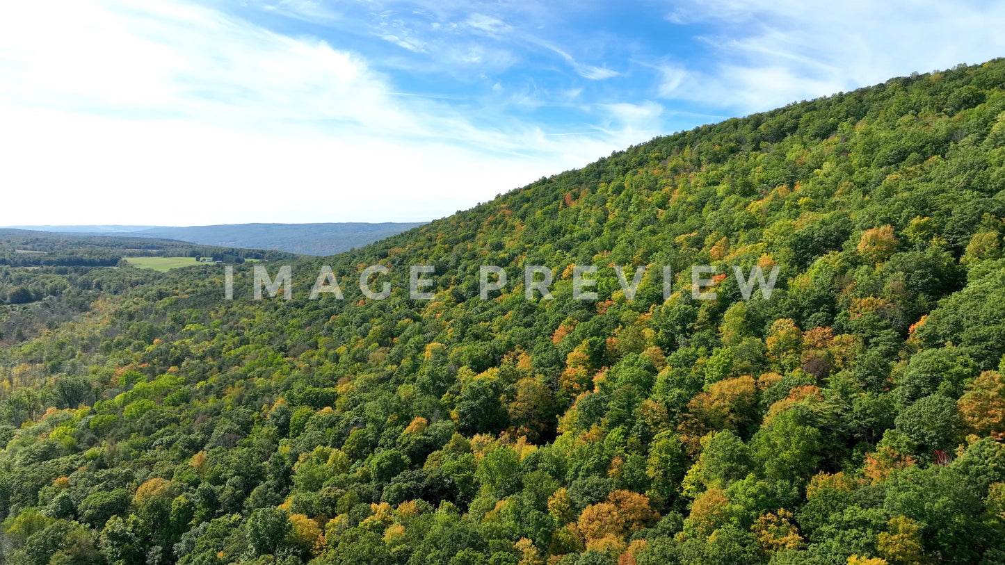 4k Still Frame - Canadice Lake, NY hillside with trees in early Fall colors