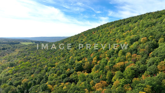 4k Still Frame - Canadice Lake, NY hillside with trees in early Fall colors