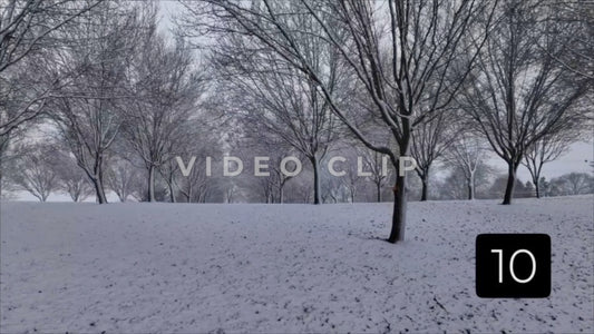 CLIP 10 - Winter Vol. 1 - Slow flight up snow covered hillside with tree orchard