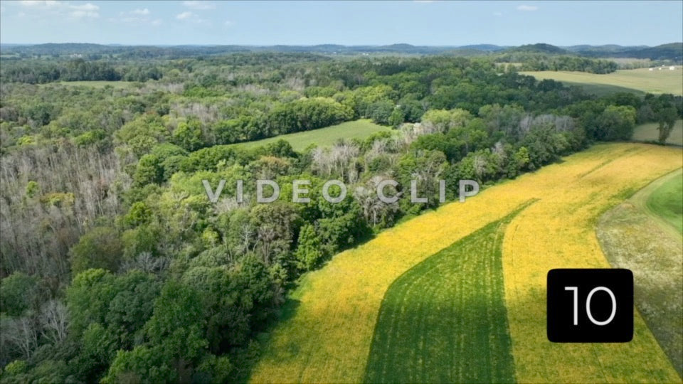 CLIP 10 - Low flight over Farmer's field with crops in New York State countryside