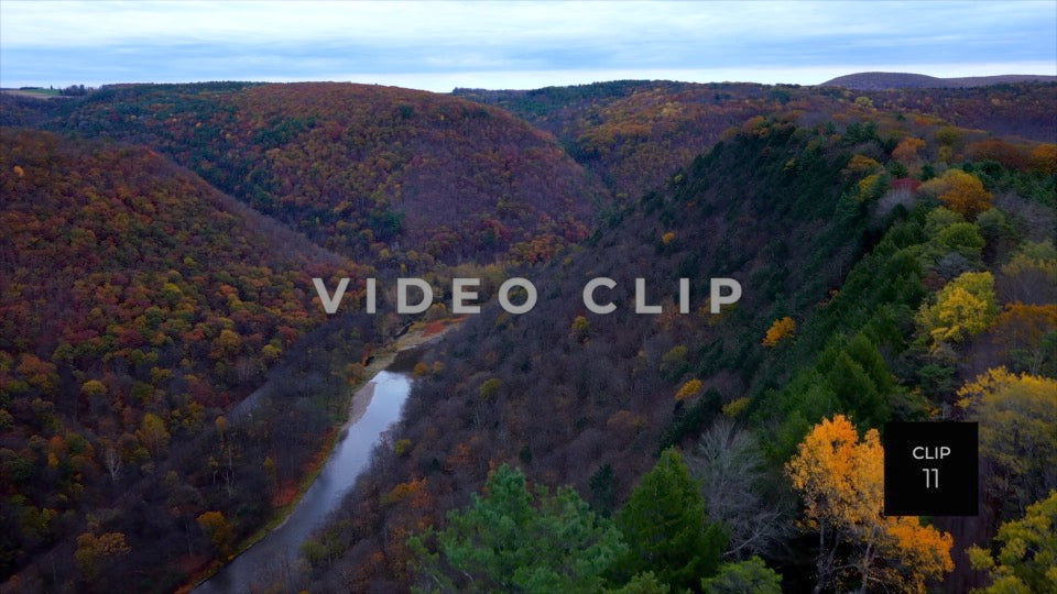 CLIP 11 - Pennsylvania Grand Canyon slowly rising above treetops