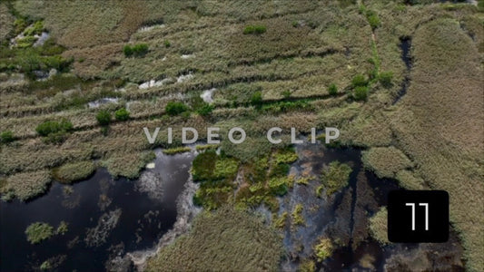 CLIP 11 - South Carolina Ricefields Vol 2. - Pee Dee Waccamaw Confluence