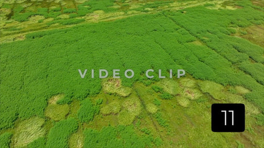 CLIP 11 - South Carolina Ricefields Vol 1. - Santee River Delta