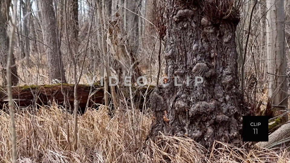 CLIP 11 - Erie Canal Vol. 4