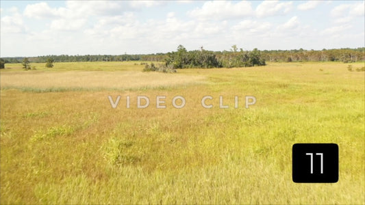 CLIP 11 - South Carolina Ricefields Vol 3. - White House Plantation