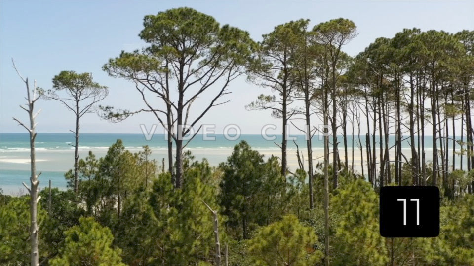 CLIP 11 - Beautiful Beach