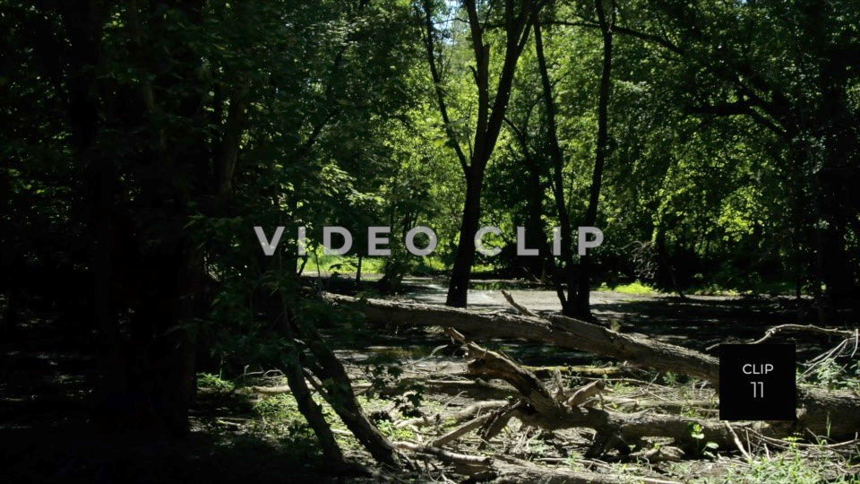 CLIP 11 - Erie Canal Vol. 5 - Montezuma