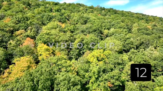 CLIP 12 - Canadice Lake, NY slow flight over trees in hillside beside Finger Lake