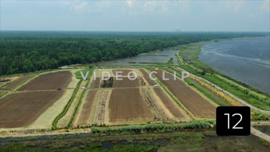 CLIP 12 - South Carolina Ricefields Vol 4. - Estherville Plantation