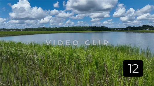 CLIP 12 - Murrells Inlet, SC Vol. 1