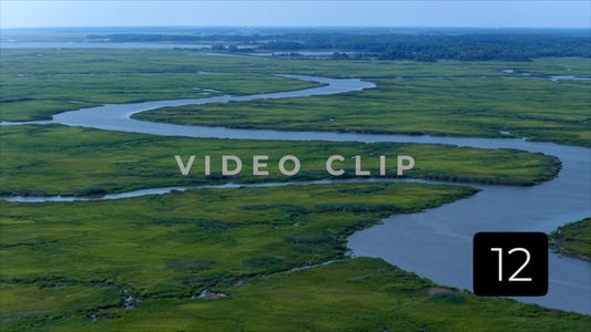 CLIP 12 - Woodland Beach, DE