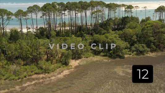 CLIP 12 - Cherry Grove Beach, SC Waties Barrier Island beach and sand bar at low tide