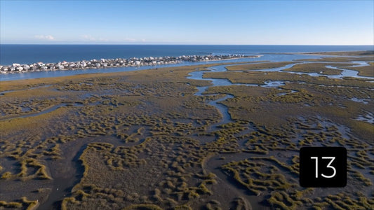 CLIP 13 - Murrells Inlet, SC Vol. 3