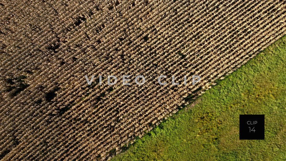 CLIP 14 - Wellsboro, PA looking down on cornfield and green pasture