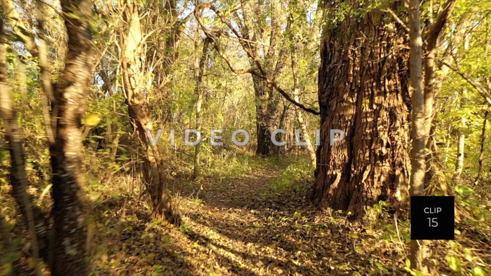 CLIP 15 - Erie Canal Vol. 5