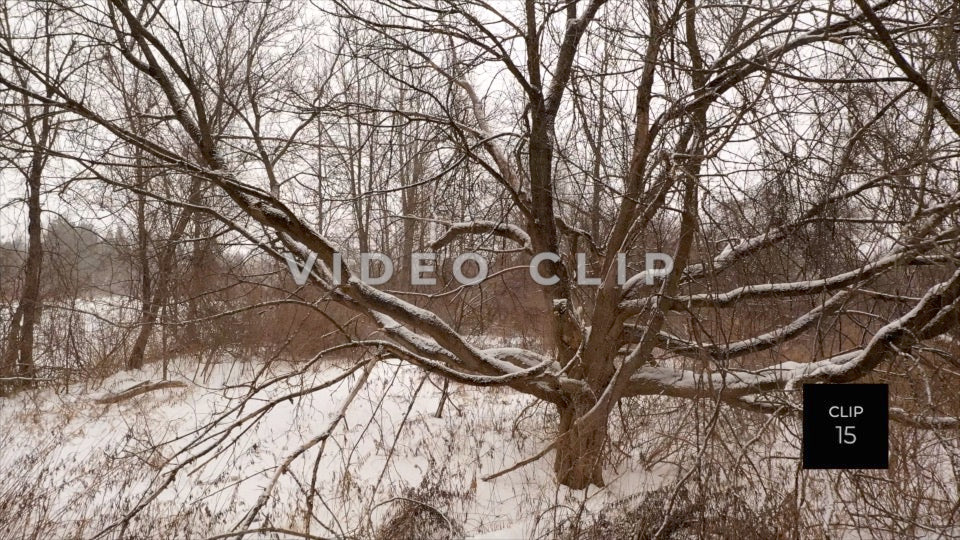 CLIP 15 - Erie Canal Vol. 4