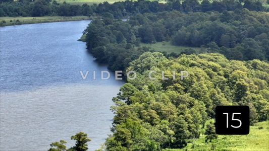 CLIP 15 - South Carolina Ricefields Vol 1. - Santee River Delta