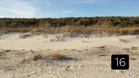 CLIP 16 - Beautiful Beach