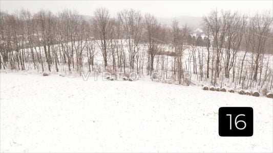 CLIP 16 -Winter Vol. 2 - Person walks in park while snow in falling during Winter