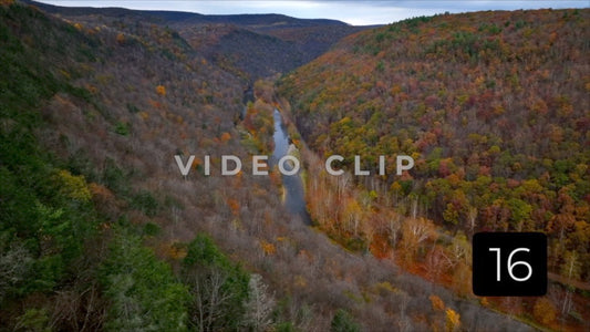 CLIP 16 - Pennsylvania Grand Canyon trees in foreground then Canyon