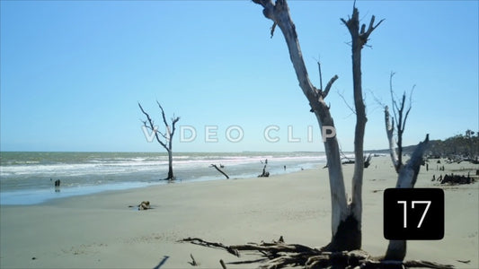 CLIP 17 - Beautiful Beach