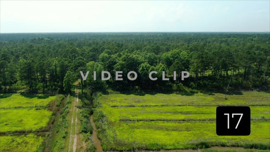 CLIP 17 - South Carolina Ricefields Vol 4. - Estherville Plantation