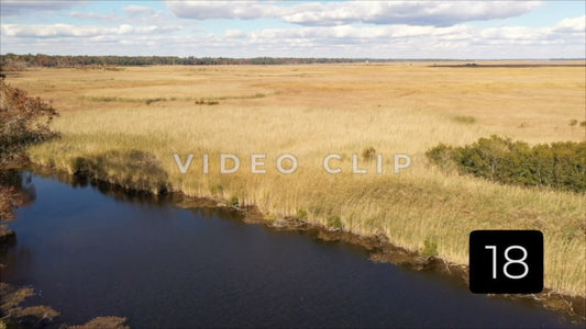 CLIP 18 - South Carolina Ricefields Vol 2. - Pee Dee Waccamaw Confluence