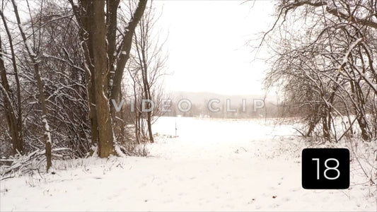 CLIP 18 - Winter Vol. 2 - Fields and trees with snow falling in Wintertime
