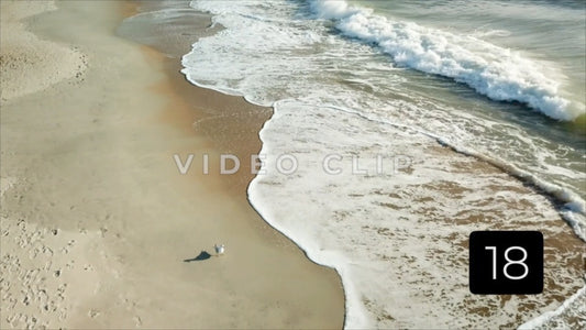 CLIP 18 - Litchfield Beach, SC seagulls on shore as waves break on sand
