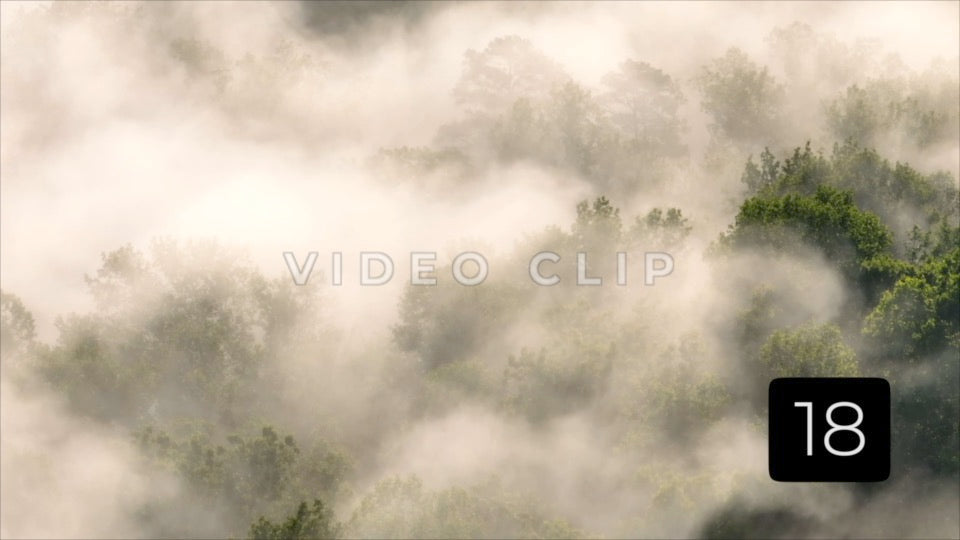 CLIP 18 - Close view fog in morning light passing through forest in Tennessee mountains