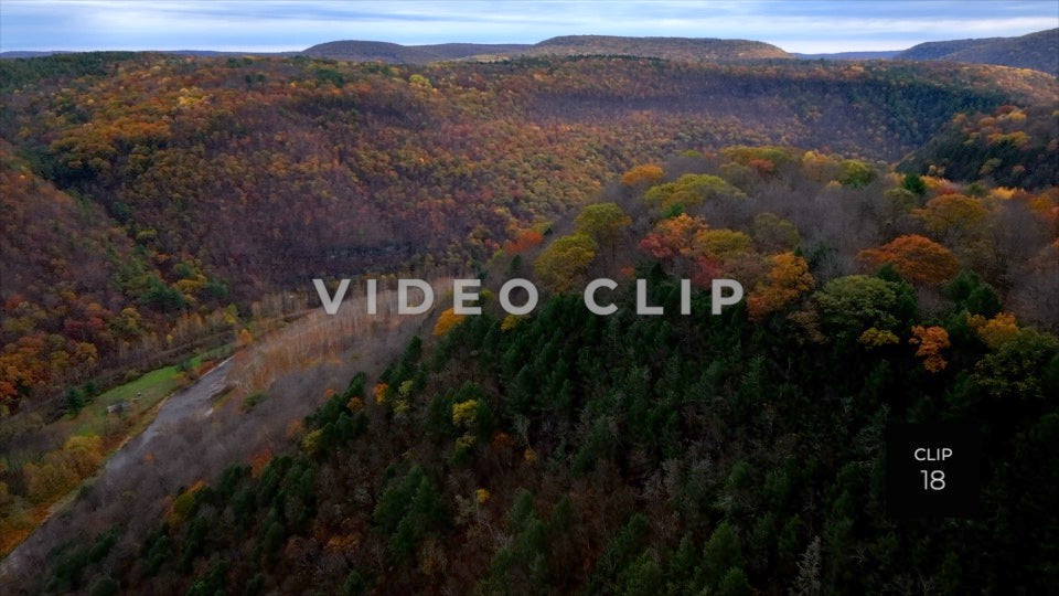 CLIP 18 - Pennsylvania Grand Canyon close flight over treetops to Canyon