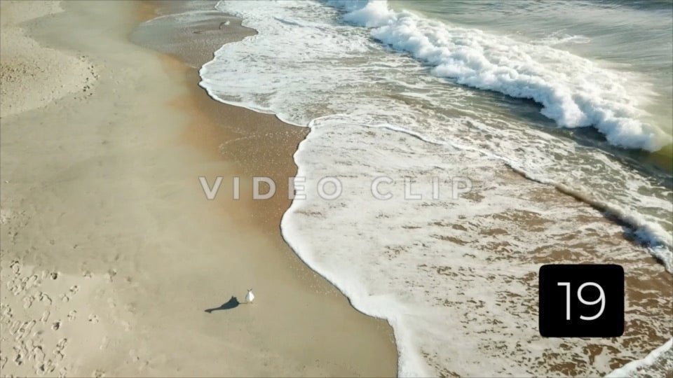 CLIP 19 - Beautiful Beach
