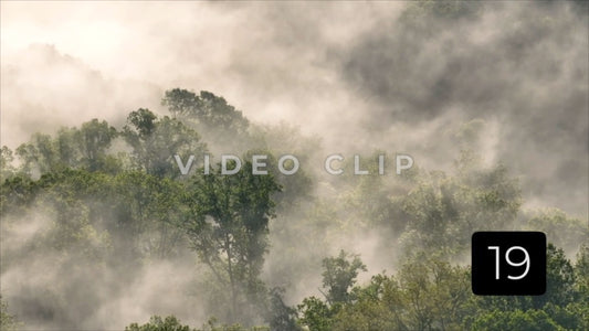 CLIP 19 - Ethereal atmosphere of mist in green forest of Tennessee mountains