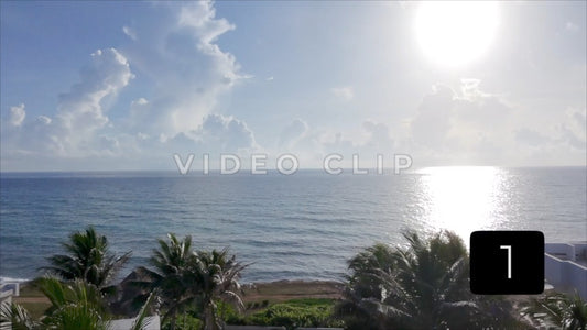 CLIP 1 - Isla Mujeras, Mexico rising up past palm trees to view Caribbean sunrise over ocean