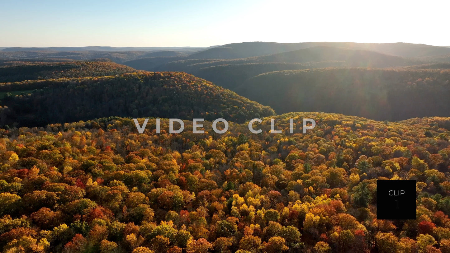 CLIP 1 - Pennsylvania Grand Canyon, PA on horizon then pull away and tilt down to tree tops