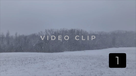CLIP 1 - Winter Vol. 1 - Slow flight over pasture while snow falls