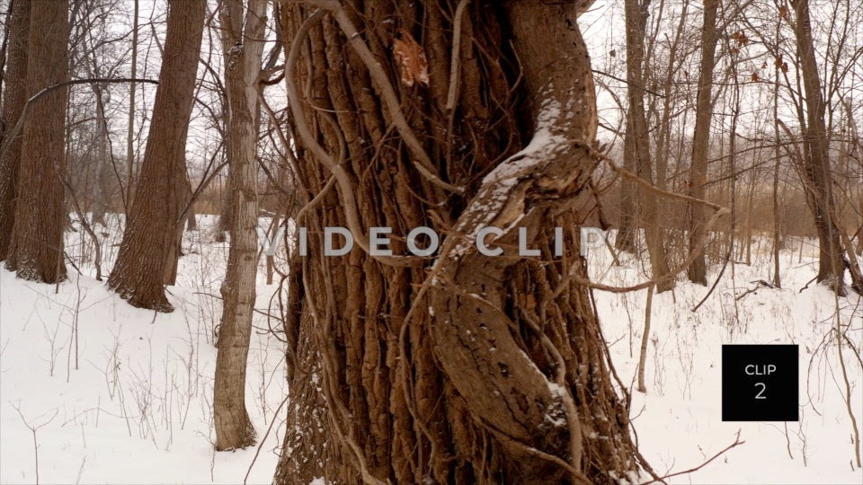 CLIP 2 - Erie Canal Vol. 5